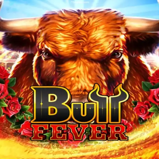 Exploring BullFever: A Thrilling Online Casino Experience